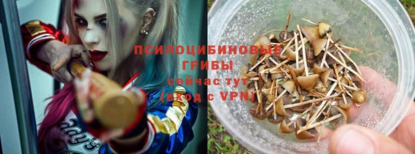 герыч Медногорск