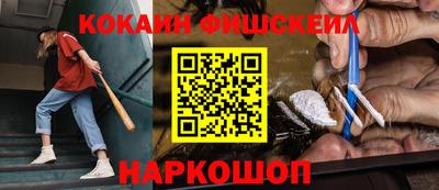 индика Кингисепп