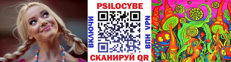 цена   Нижний Новгород  Галлюциногенные грибы Psilocybe 