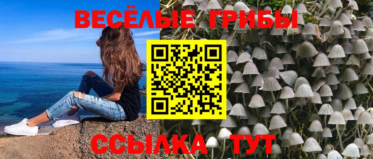 где купить наркоту  Псилоцибиновые грибы Psilocybe  Вход с VPN  Нижний Новгород  Галлюциногенные грибы Psilocybine cubensis 