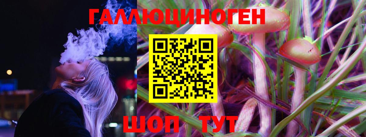 Галлюциногенные грибы MAGIC MUSHROOMS  Нижний Новгород  Псилоцибиновые грибы Psilocybine cubensis 